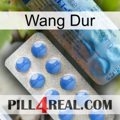 Hard Wang 40